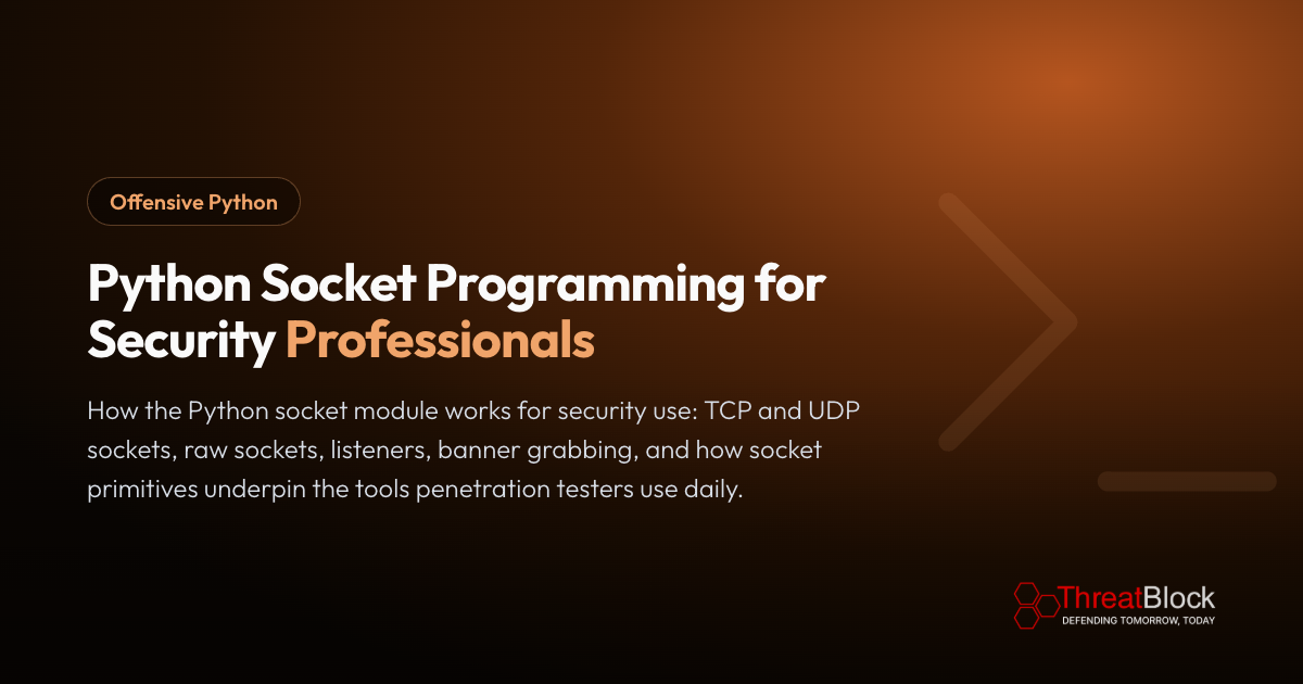 Python Socket Programming for Security Professionals
