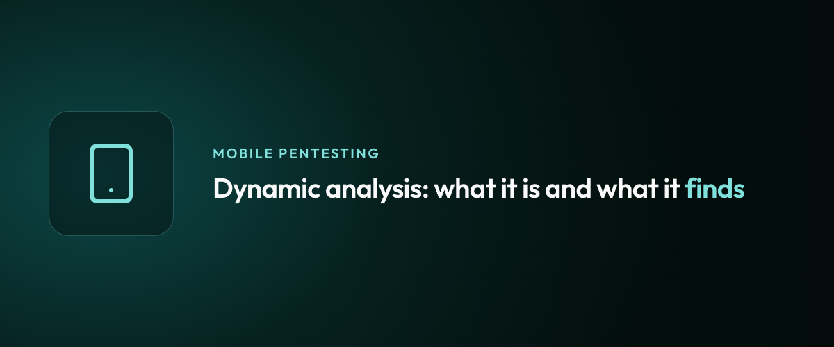 Dynamic analysis: what it is and what it finds